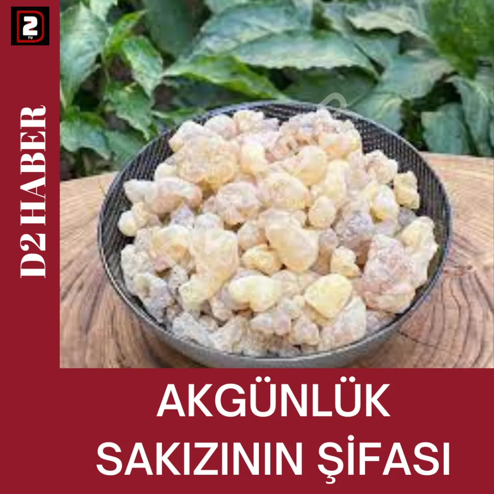 AKGÜNLÜK SAKIZININ ŞİFASI