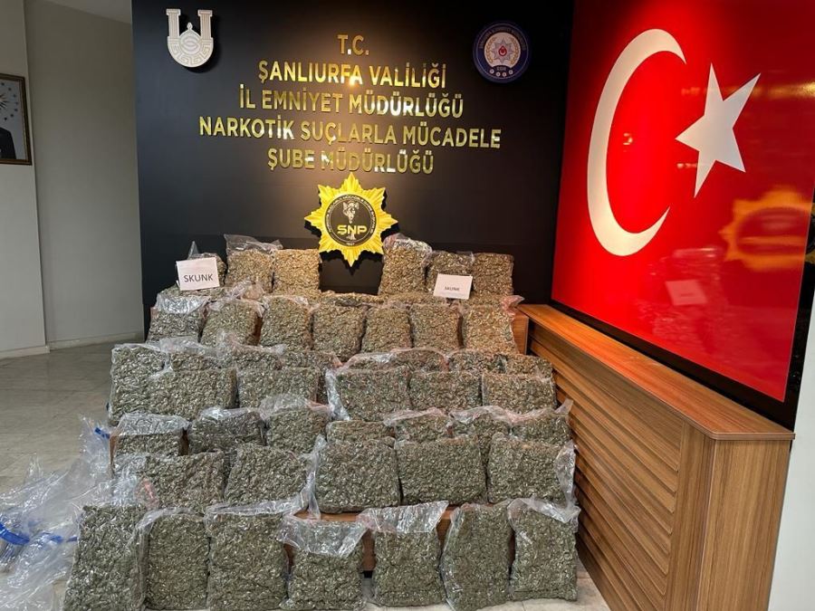 Şanlıurfa’da 53 kilo 750 gram skunk ele geçirildi!