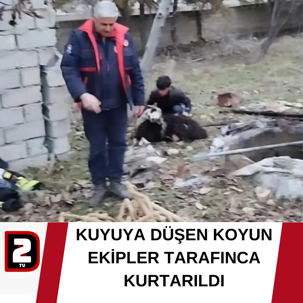 KUYUYA DÜŞEN KOYUN EKİPLER TARAFINCA KURTARILDI