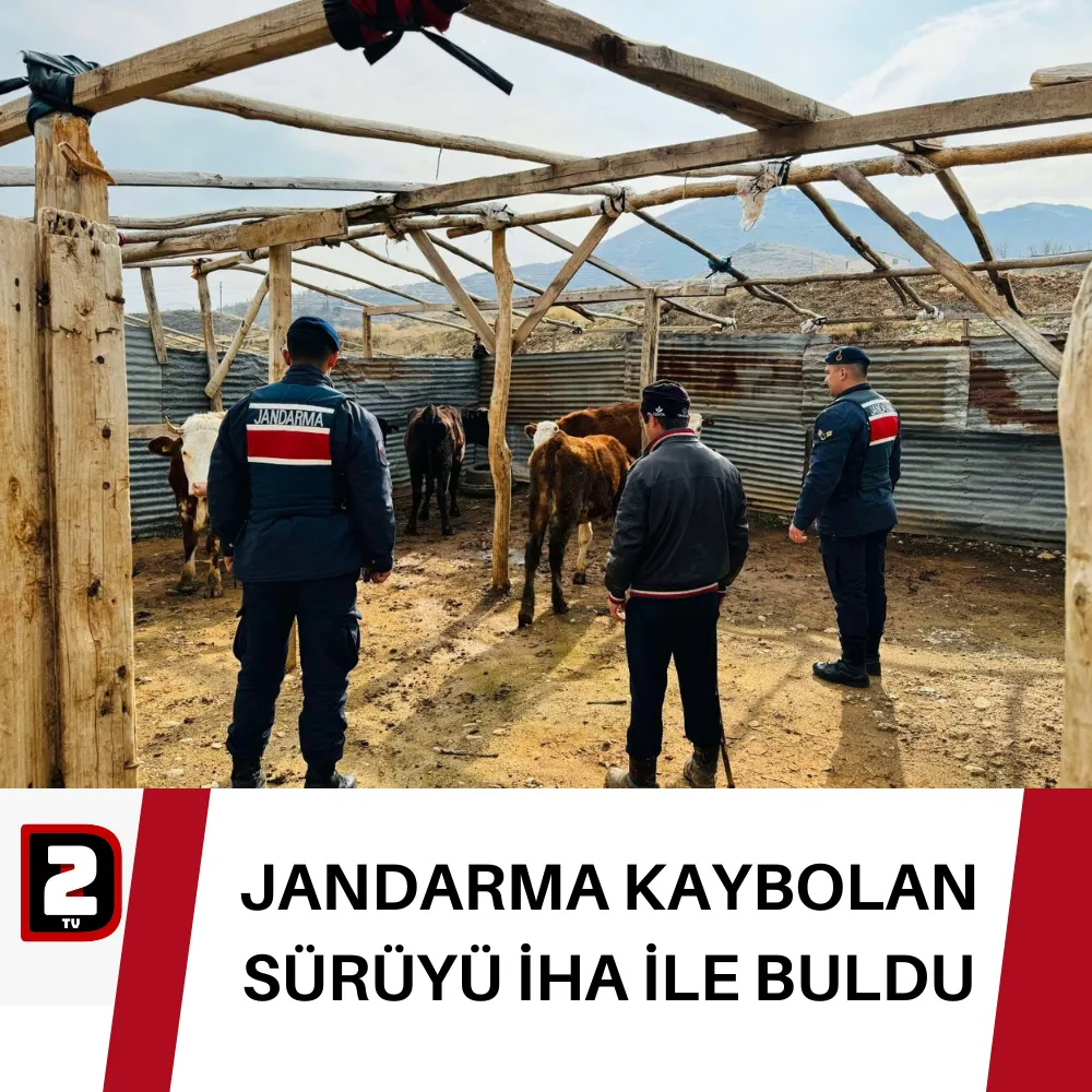 JANDARMA KAYBOLAN SÜRÜYÜ İHA İLE BULDU