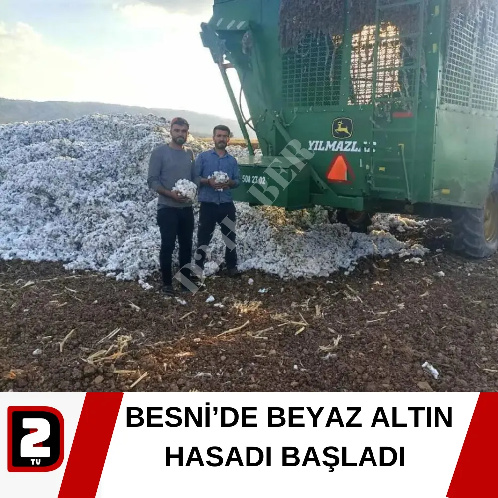 BESNİ’DE BEYAZ ALTIN HASADI BAŞLADI 