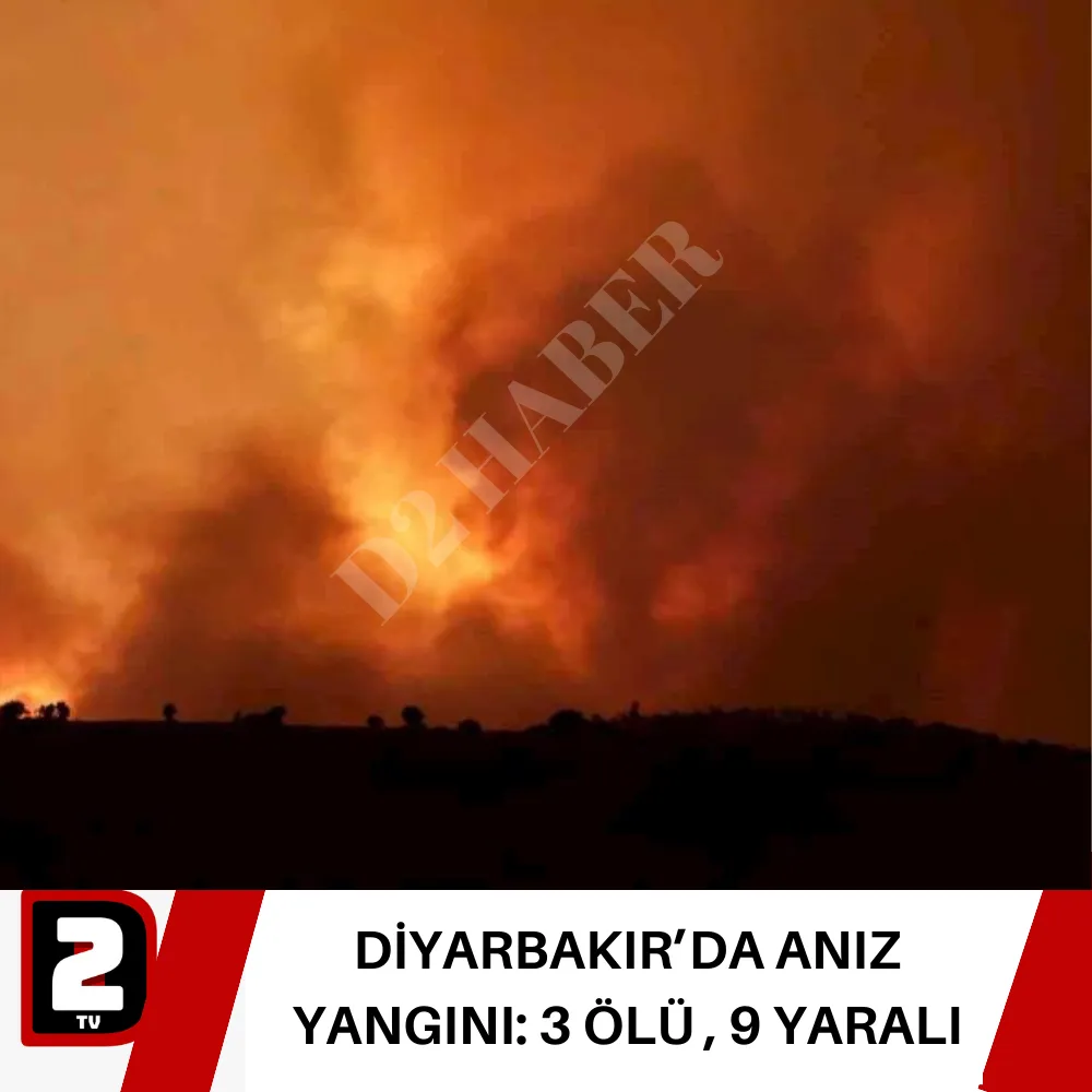 DİYARBAKIR’DA ANIZ YANGINI: 3 ÖLÜ , 9 YARALI