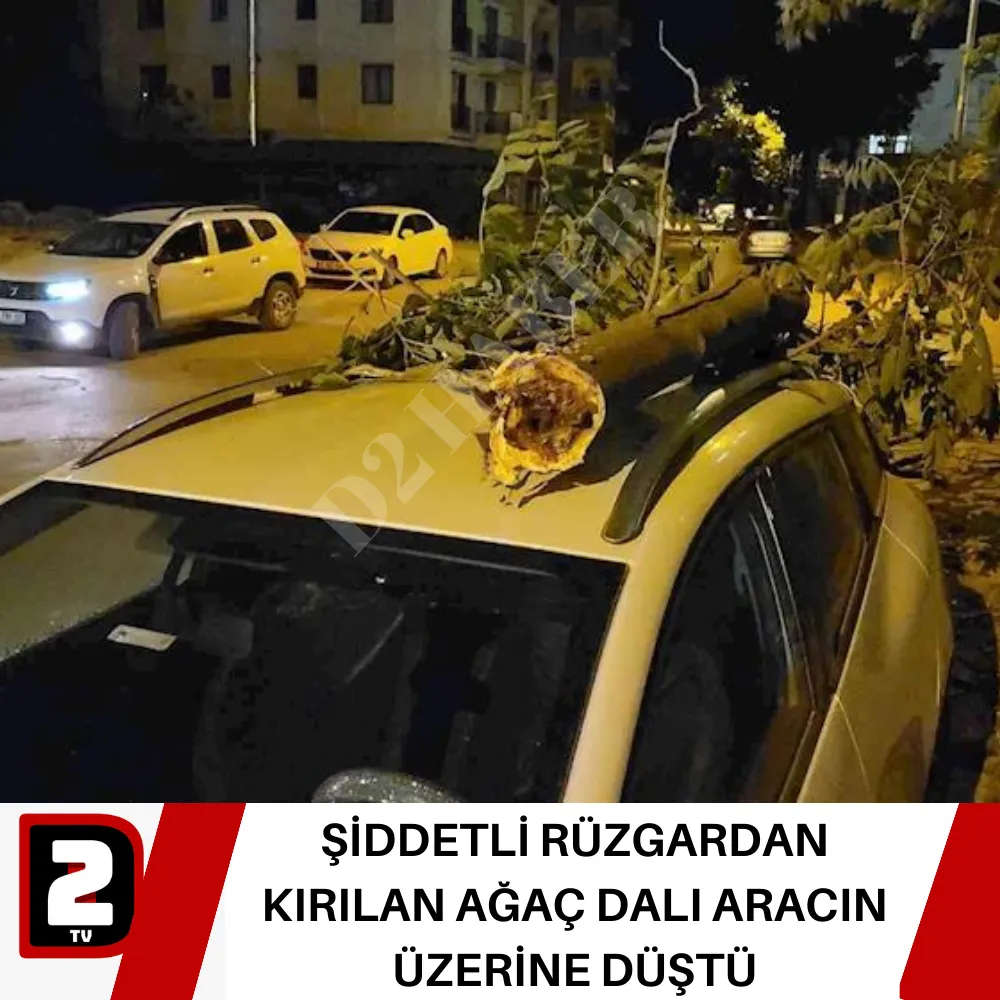 ŞİDDETLİ RÜZGARDAN KIRILAN AĞAÇ DALI ARACIN ÜZERİNE DÜŞTÜ