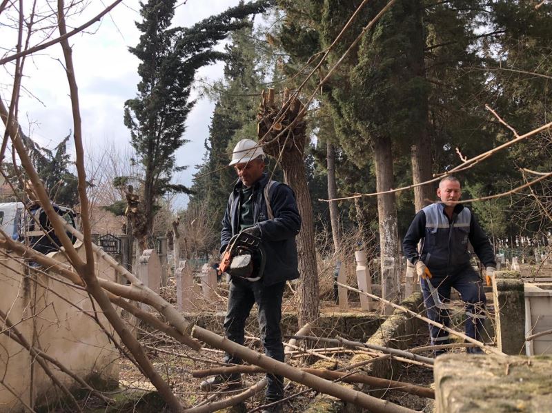 Ekiplerden Ağaçlara Bakım ve Budama Çalışması