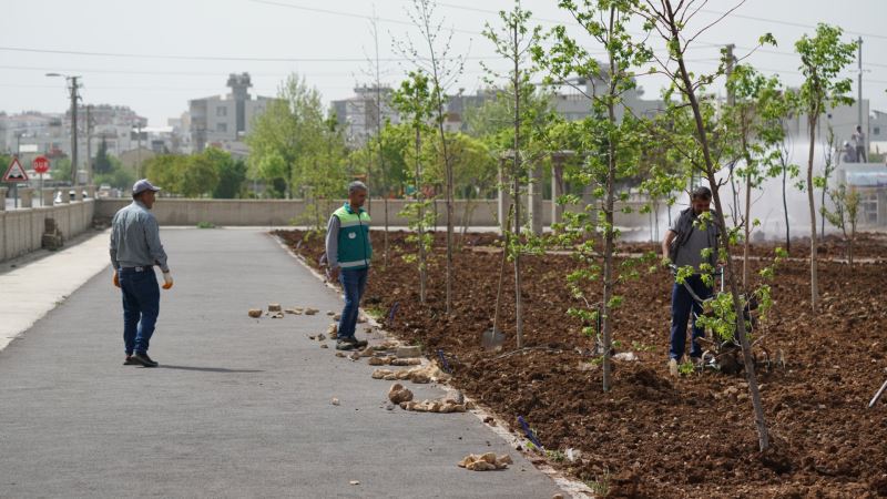 Kent Parkta Bakım Çalışması